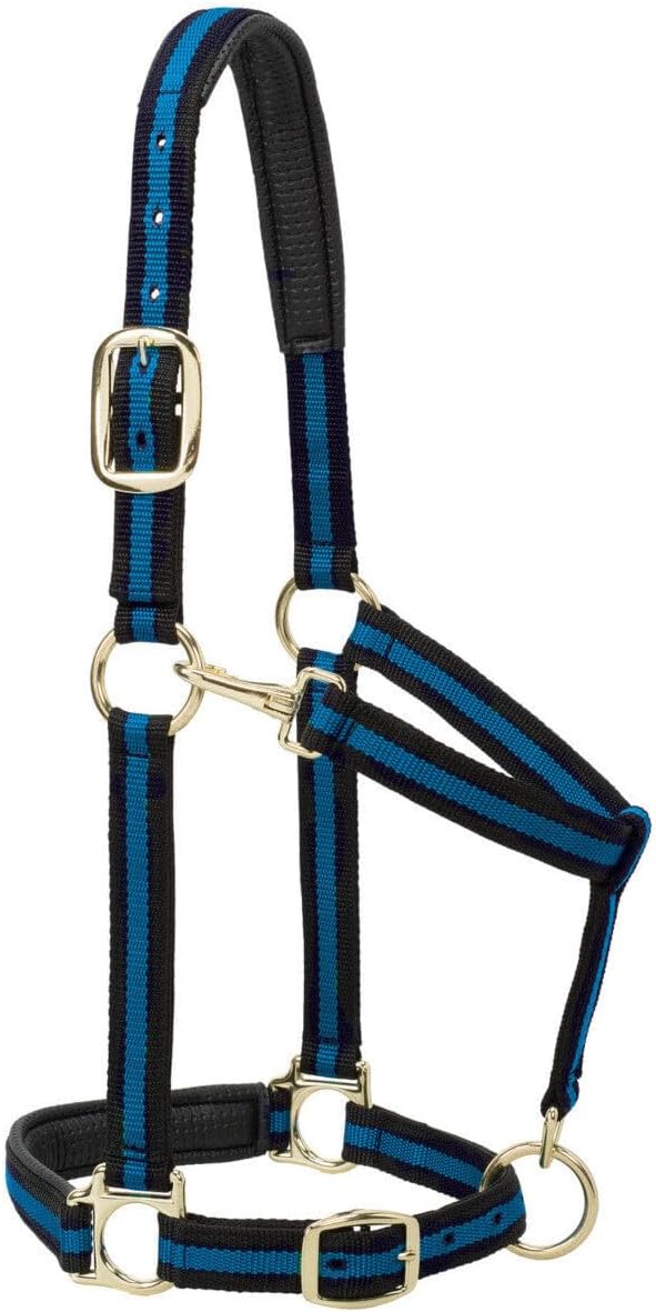 Weaver Leather Nylon Horse Halter, Padded and Adjustable, Chin and Throat Snap Hook Halters for Horses, Brass Plated