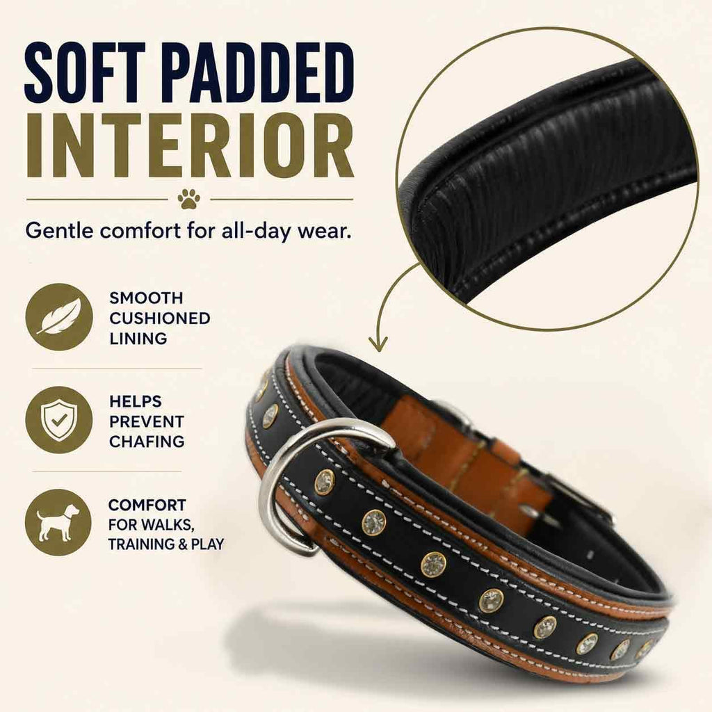 GemForge Duo Leather Dog Collar, Soft Padded, Medium, Brown