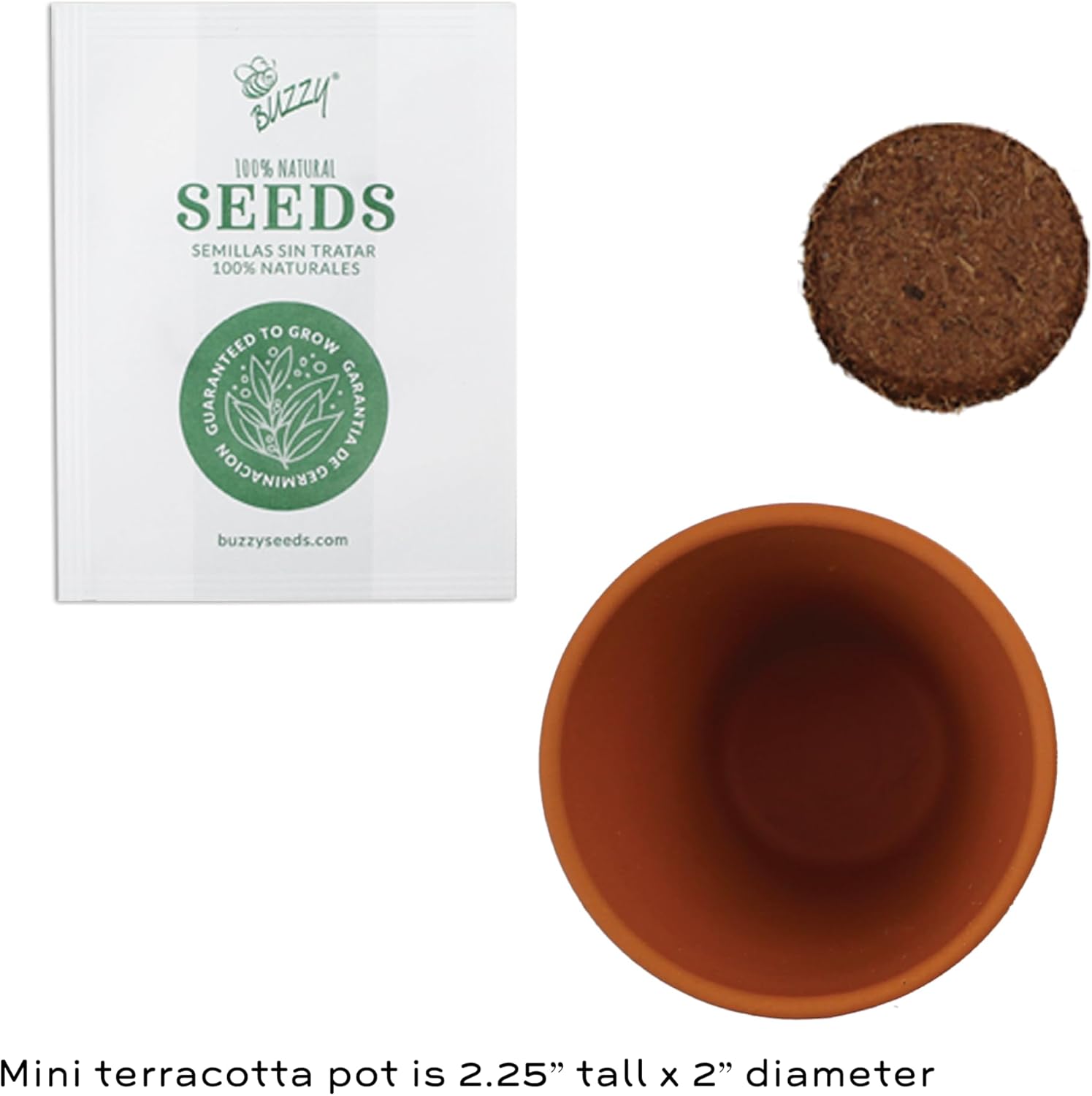 Seeds All-in-One Sunflower Grow Kit 12-Pack - Mini Terracotta Pot Grow Set - Complete Indoor/Outdoor Gardening Kit