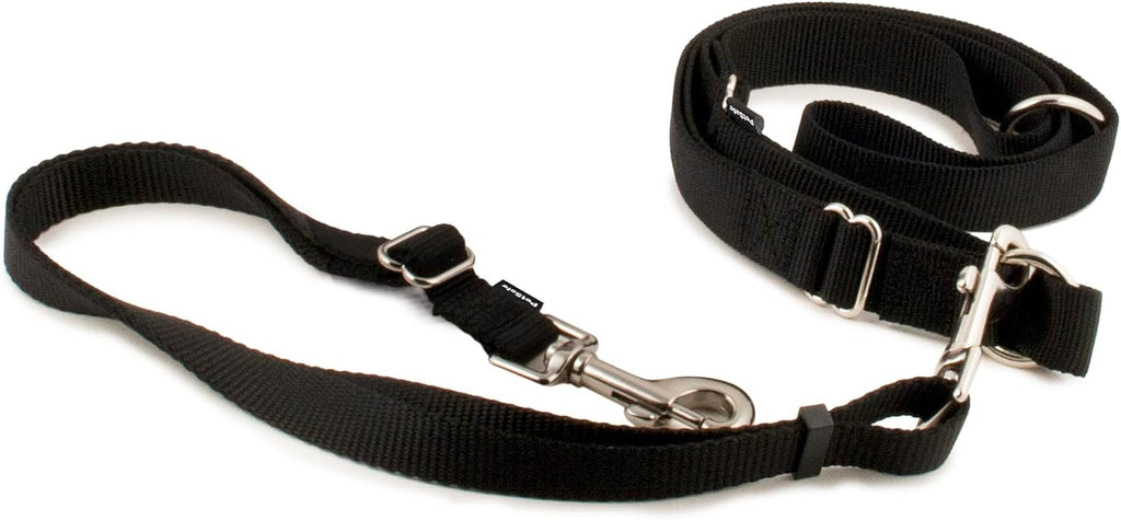 Hands Free Dog Leash, Black