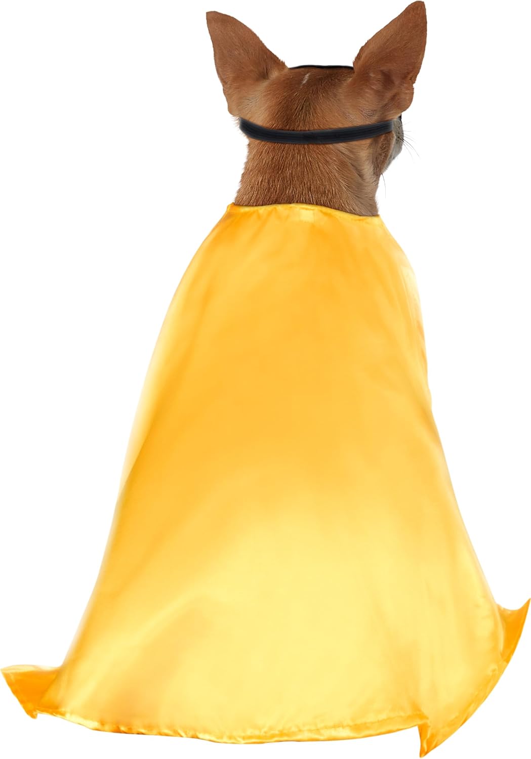 DC Teen Titans: Robin Pet Costume for Dogs or Cats, Medium