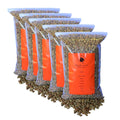 Bodhi Sampler Pack - Top 5 Green Coffees Recommended By our Roastery - Green Unroasted Coffee Beans - 100% Arabica