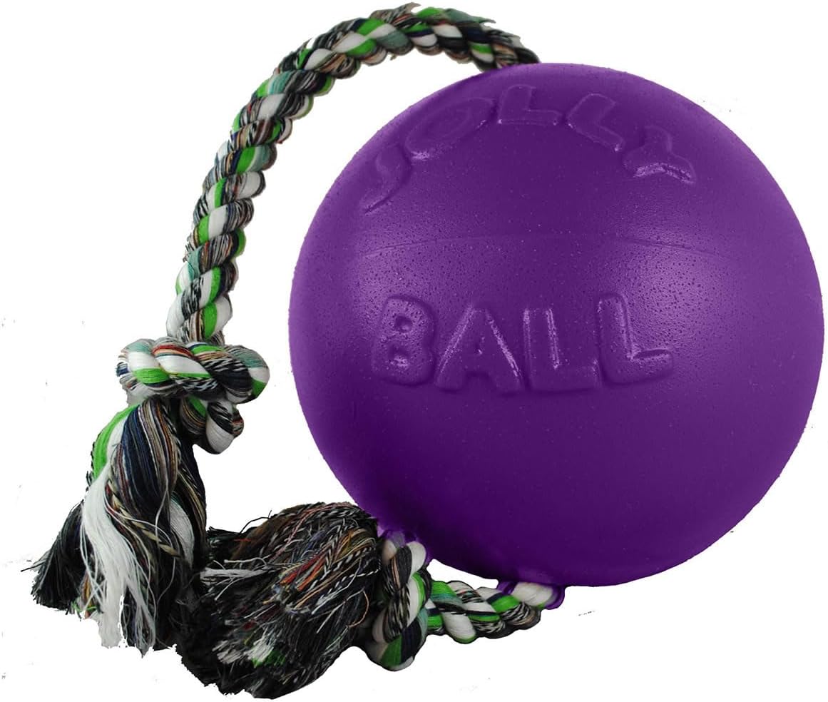 Romp-n-Roll Rope and Ball Dog Toy, 6 Inches/Medium, Blueberry, Model Number: 606 BB, All Breed Sizes