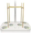 Trellis System (20 PCS) Plant Support Stakes Kit, 7.87 Inches Plant Stakes for Indoor Hydroponic Growing System