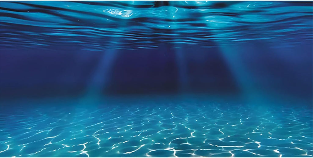 48x24 in Undersea Aquarium Backdrop Underwater Fish Tank Background
