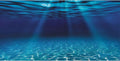 48x24 in Undersea Aquarium Backdrop Underwater Fish Tank Background