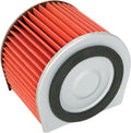 Emgo Replacement Air Filter for Honda CH80 Elite 85-01
