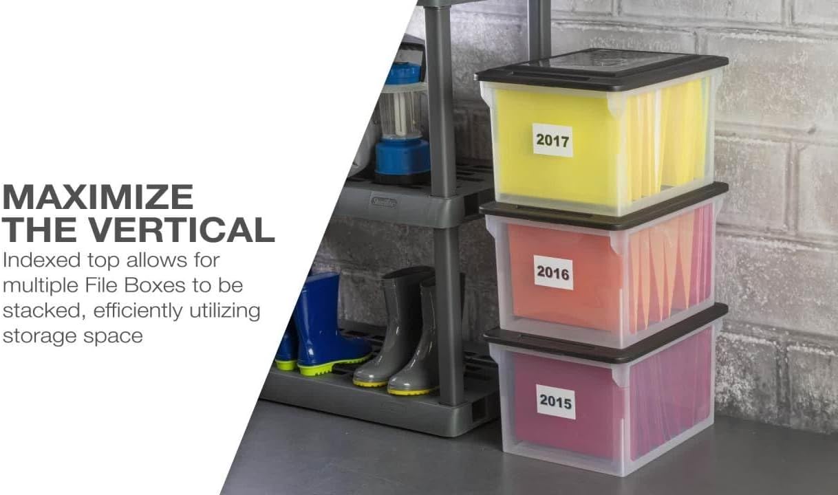 File Box, Clear Plastic Bin with Black Lid, Letter or Legal-Sized File Storage