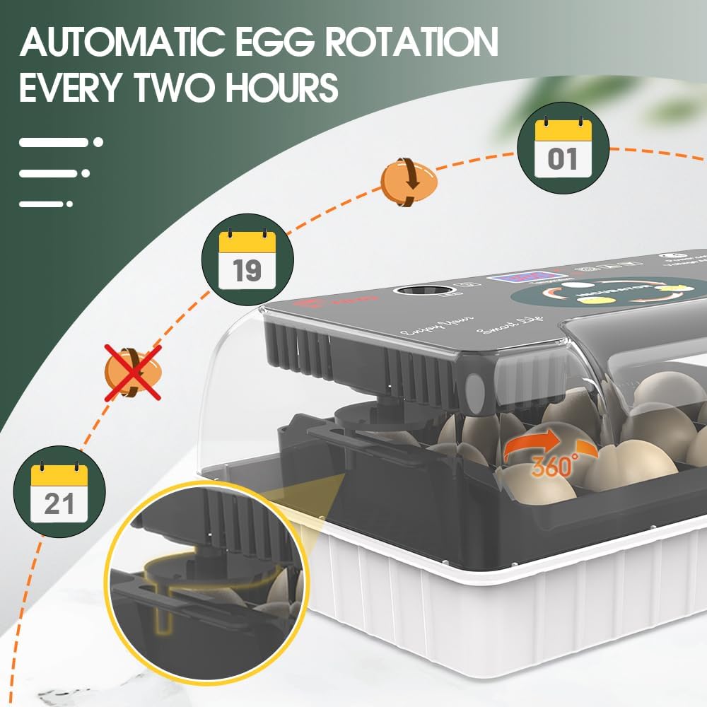 12 Egg Incubator - Automatic Egg Turner, Temperature Control, Built-in Candler, Auto Water Refill for Hatching