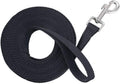 Nylon Web Lunge Line, Black, 1" x 20'