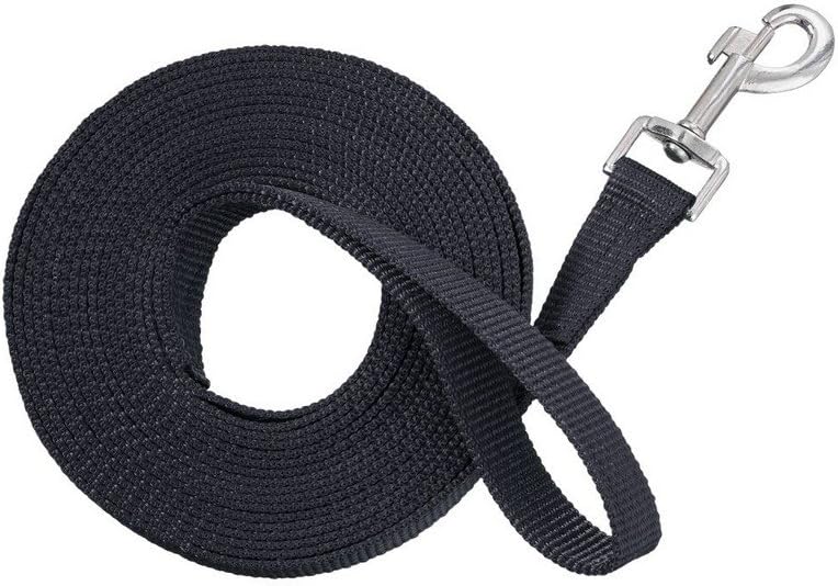 Nylon Web Lunge Line, Black, 1" x 20'