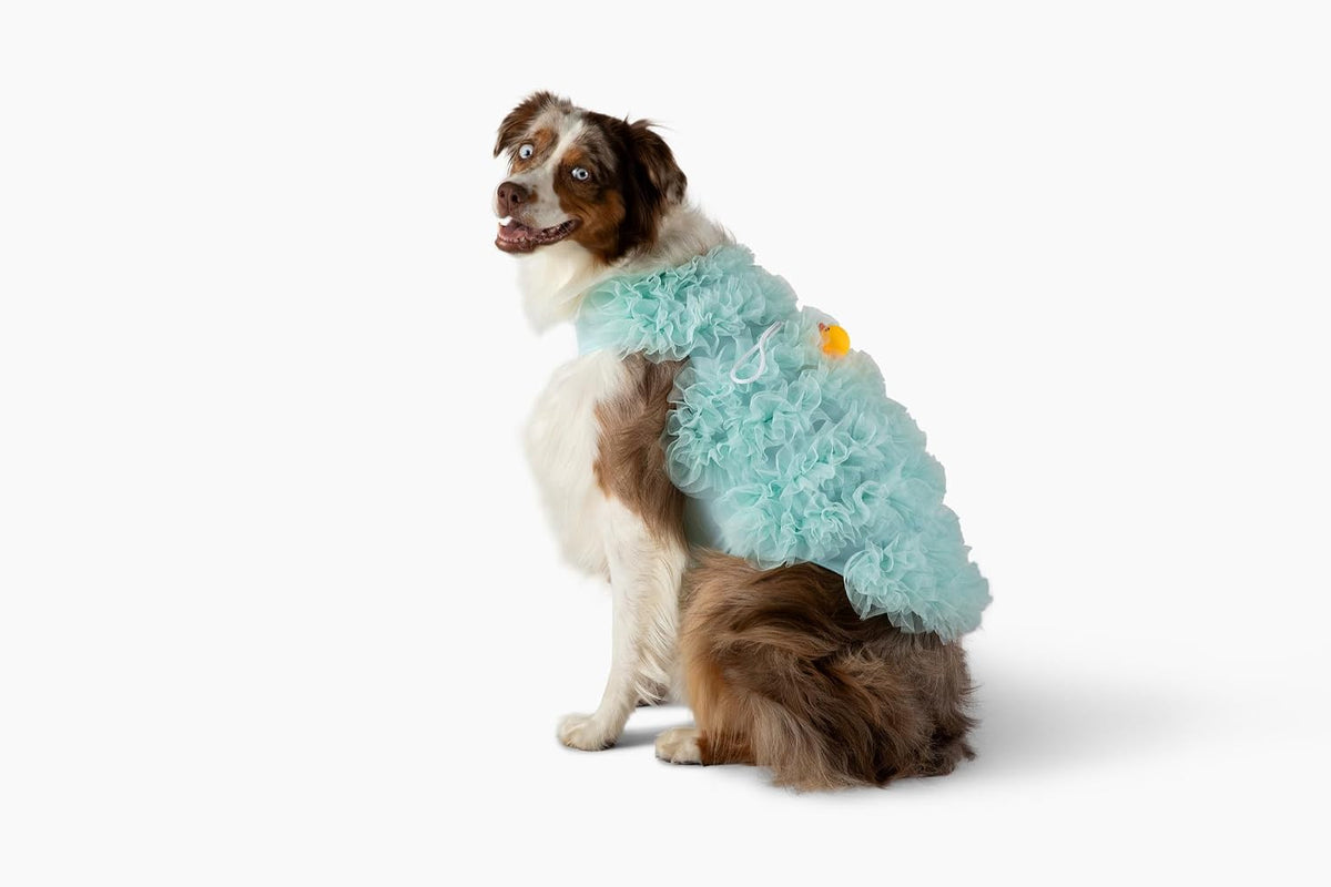 Loofah Dog Costume, Blue - (X-Small)