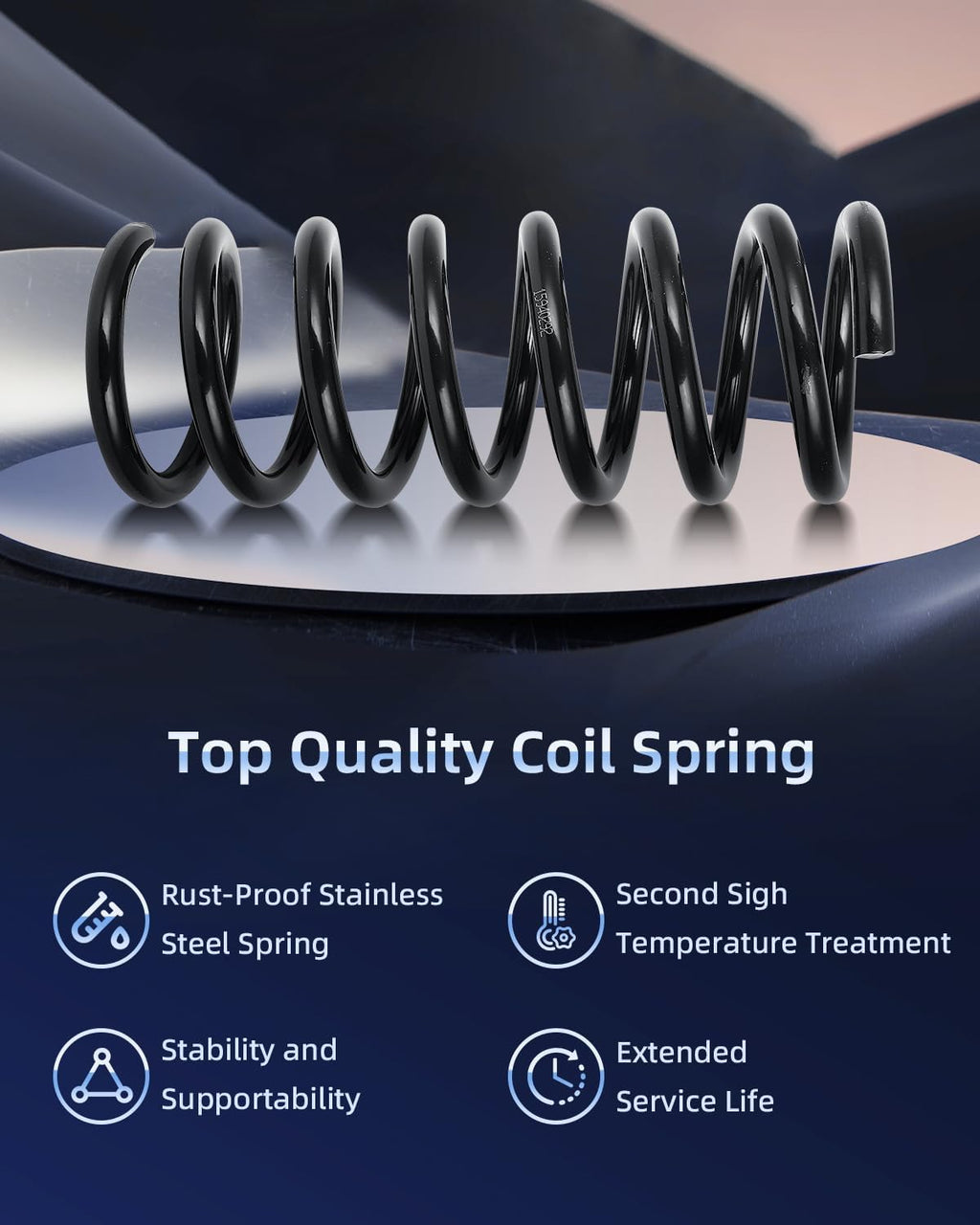 ECCPP 2PCS Rear Coil Springs Suspension Coil Spring Set for Chevy Equinox