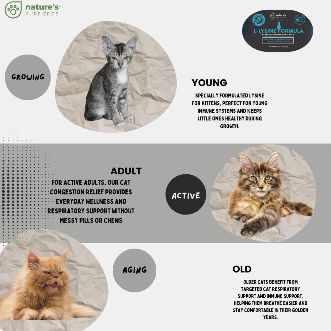 L-Lysine Powder for Cats and Kittens, Chicken Flavored Lysine Supplement for Cats and Kittens and Dogs to Support
