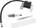 590454 Ignition Coil and Spark Plug Kit for Briggs and Stratton 590454 802574 Magneto Armature, Compatible with Toro