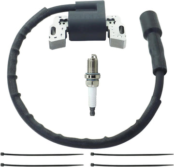 Spark Plugs & Ignition