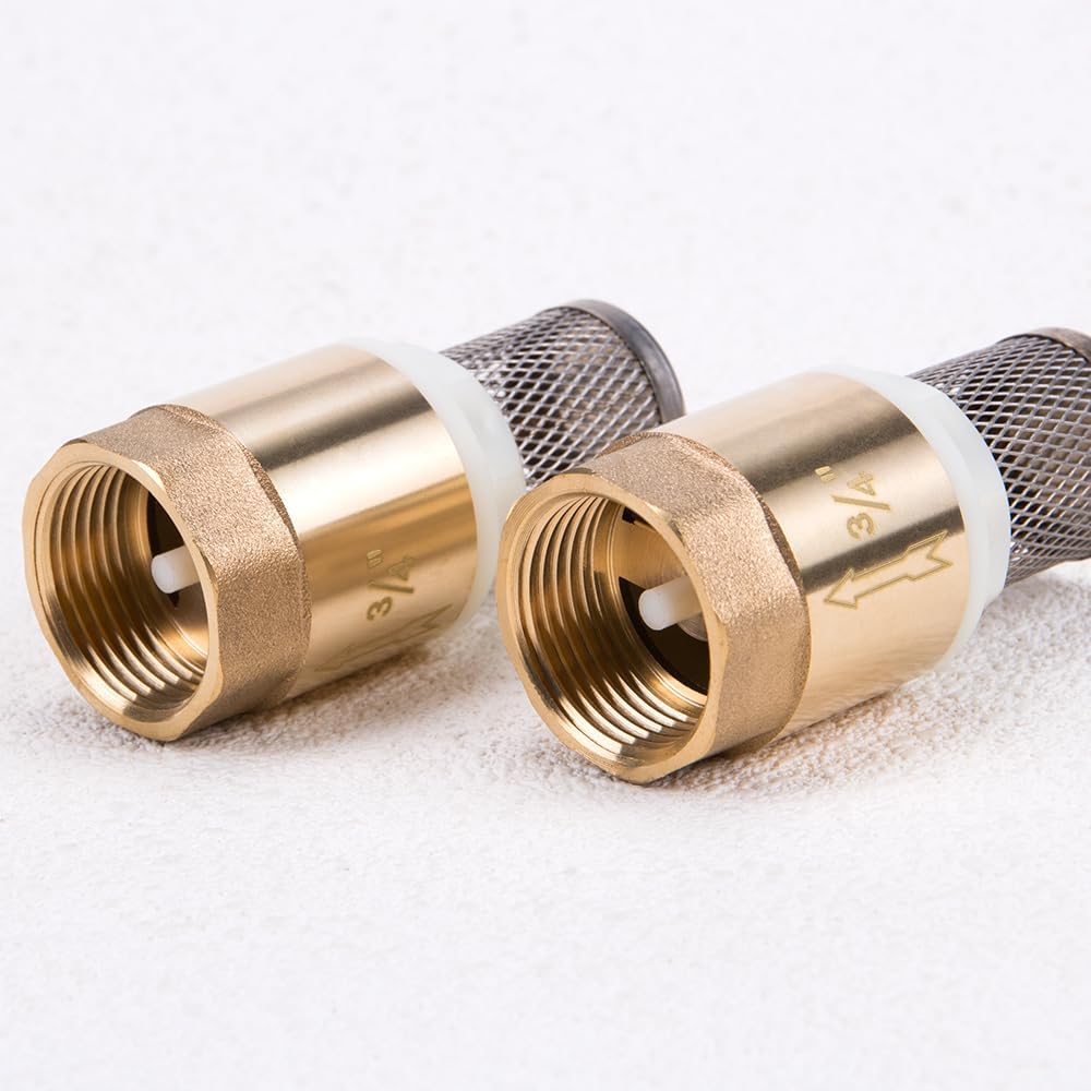 3/4" DN20 Brass Foot Valve with Filter Water Pump Bottom Valve