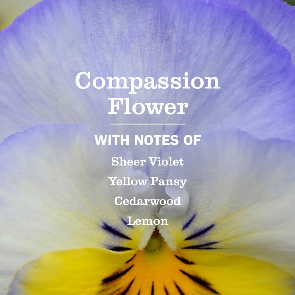CLEAN DAY Liquid Hand Soap, Compassion Flower, 12.5 oz, 3 Pack