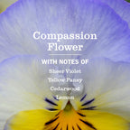 CLEAN DAY Liquid Hand Soap, Compassion Flower, 12.5 oz, 3 Pack