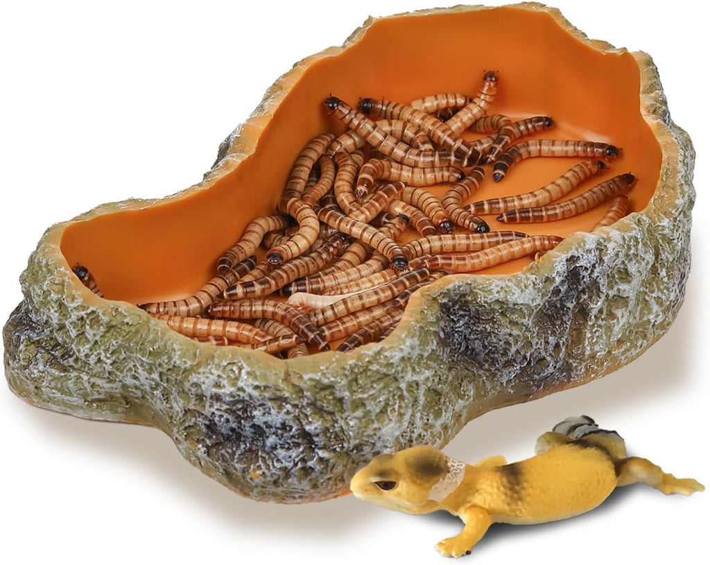 7 Inch Reptile Food Dish Escape Proof Reptile Feeding Dish Resin Reptile Water Food Bowl for Bearded Dragon Chameleon