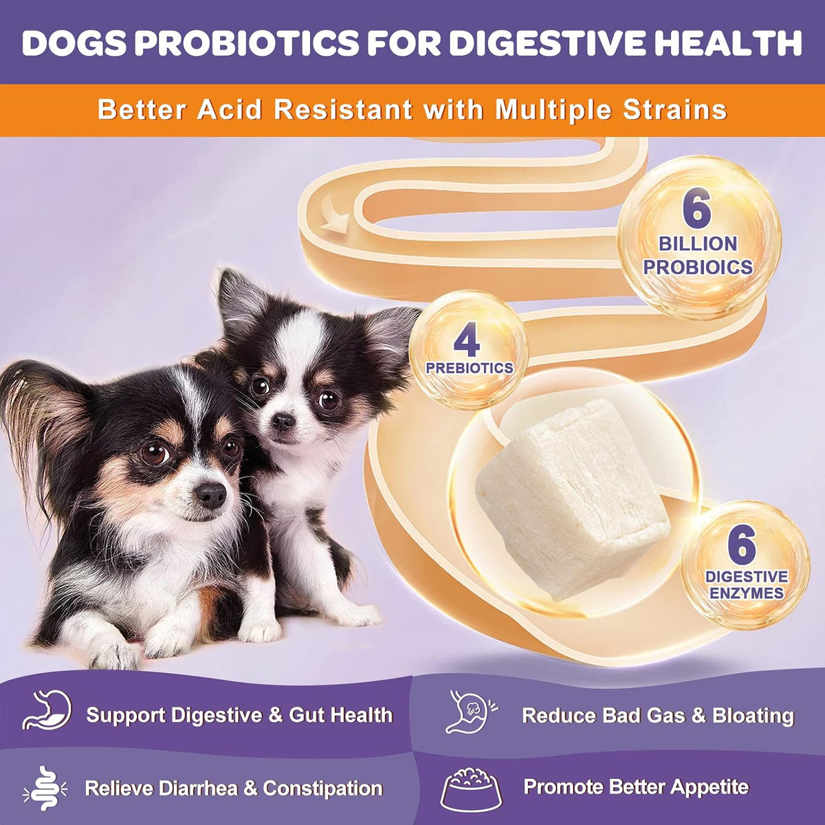 6 Billion Freeze Dried Probiotics for Dogs, 120 Bites