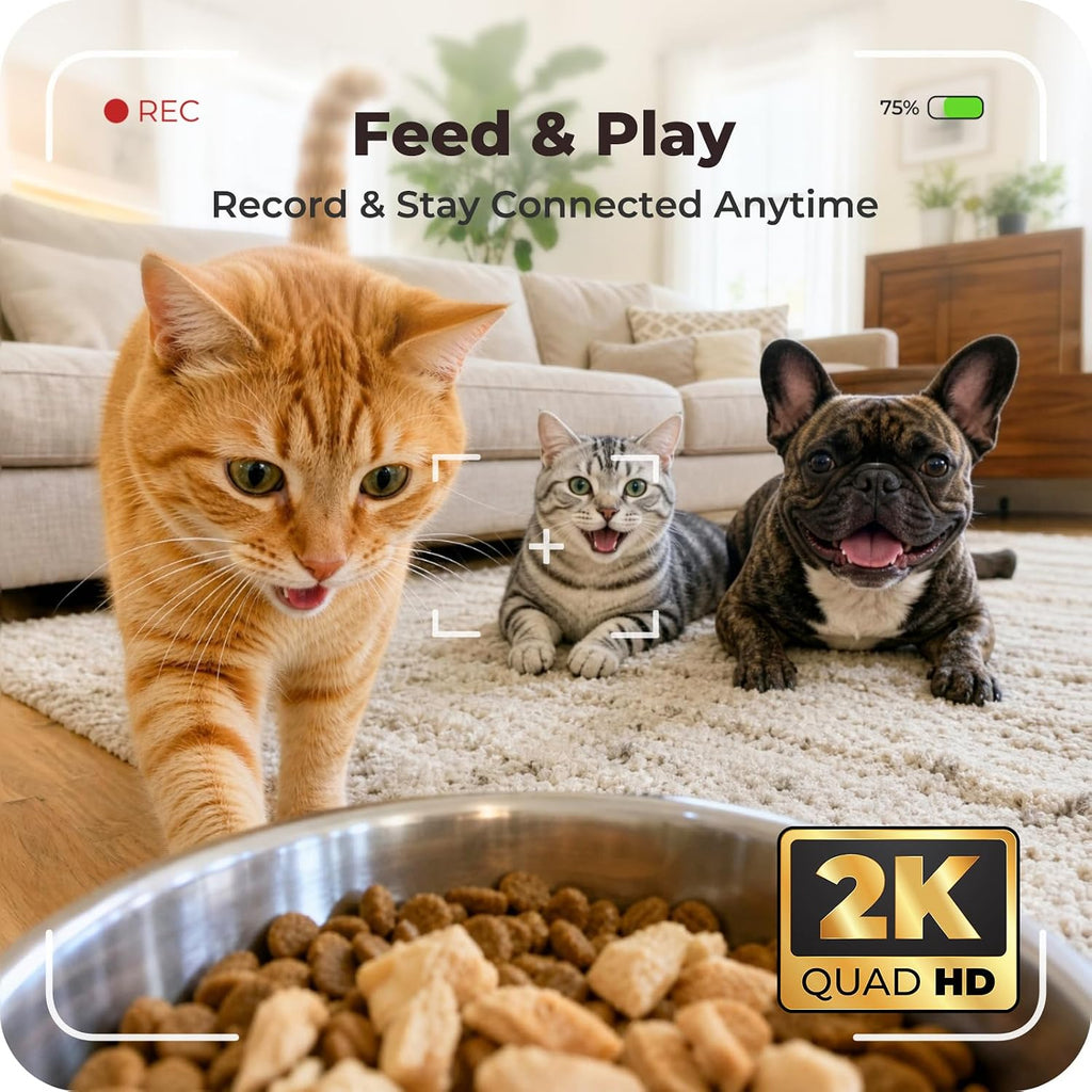 Automatic Cat Feeder with 2K Camera: 5G WiFi Auto Dog Feeder - 6L