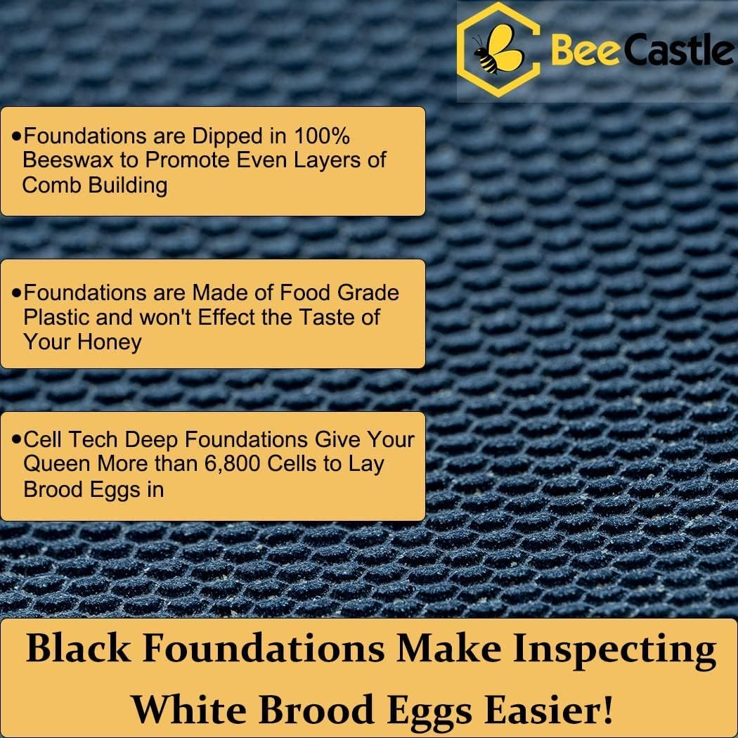 10 Frame Langstroth Bee Hive Coated with 100% Beeswax Includes Beehive Frames and Waxed Foundations (2 Deep Boxes & 2