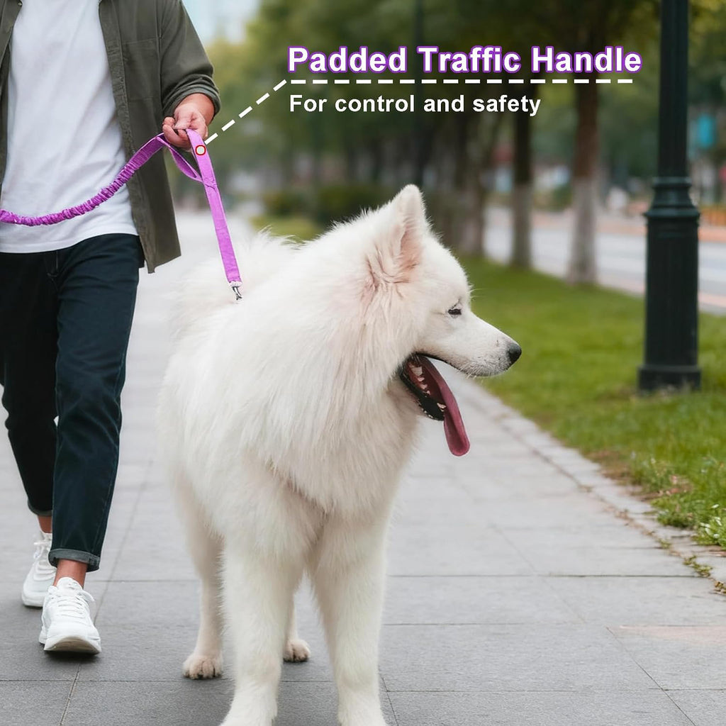 5FT Bungee Dog Leash with 2 Handles, Reflective Nylon Traffic Leash
