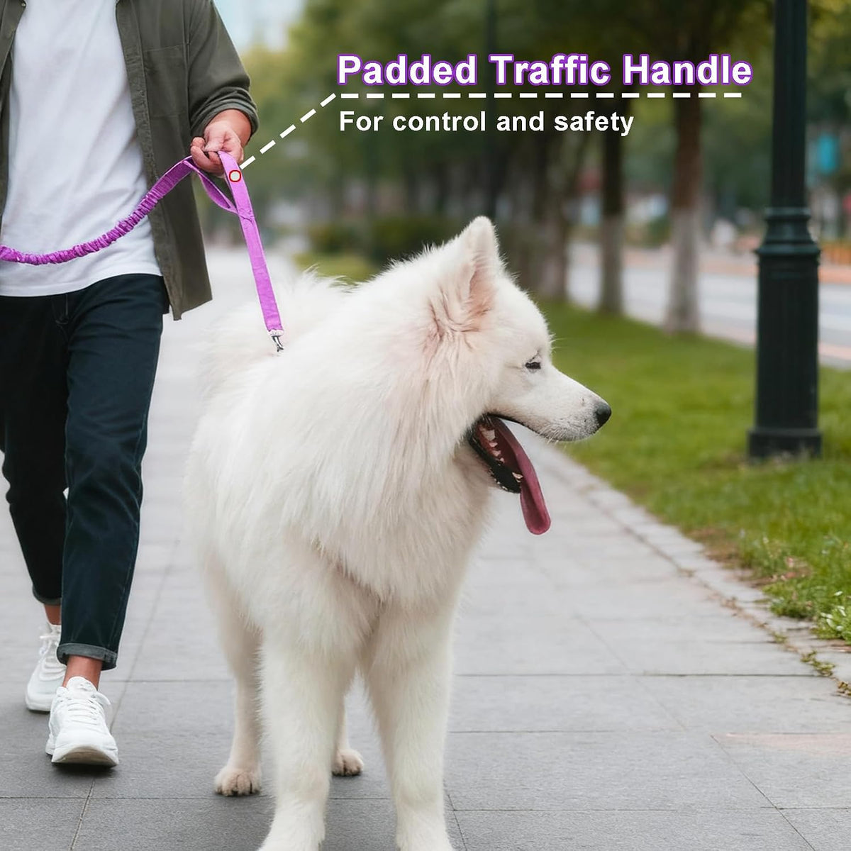 5FT Bungee Dog Leash with 2 Handles, Reflective Nylon Traffic Leash