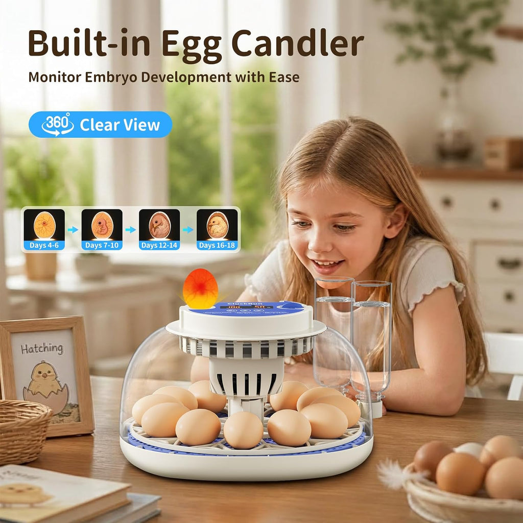 12 Egg Incubators for Hatching Eggs, Auto Turning, Temp & Humidity Control