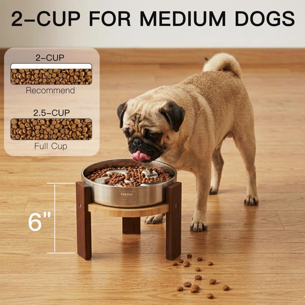 Elevated Dog Bowl Stand, 6'' Height Raised Stand for Medium Dogs, Includes 2Cups Stainless Steel Slow Feeder Dog
