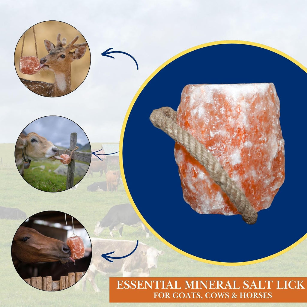 6 lbs Himalayan Salt Lick on Rope for Horse, Cow, Goat, Sheep, Deer and Livestock Animals - 2 Pack