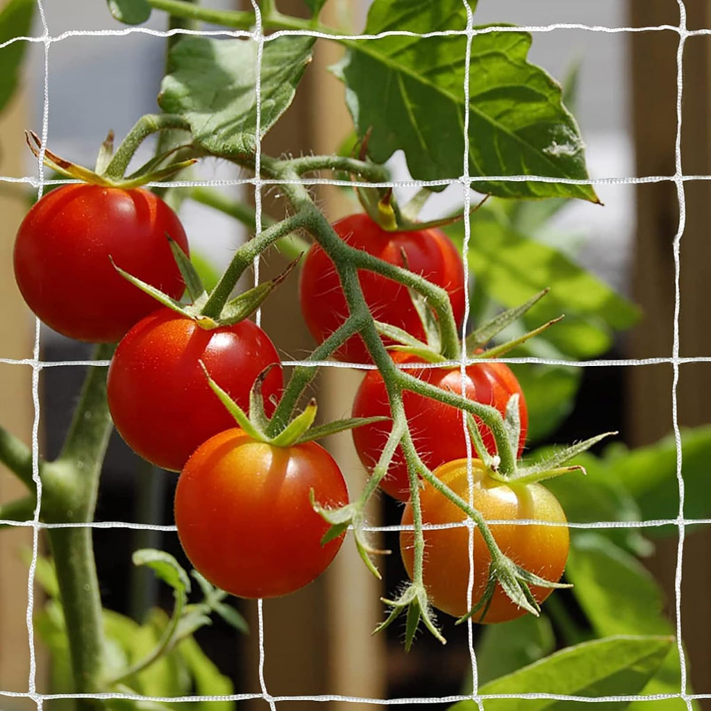 Heavy-Duty Polyester Plant Trellis Netting 5 x 30ft (1 Pack)