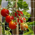 Heavy-Duty Polyester Plant Trellis Netting 5 x 30ft (1 Pack)