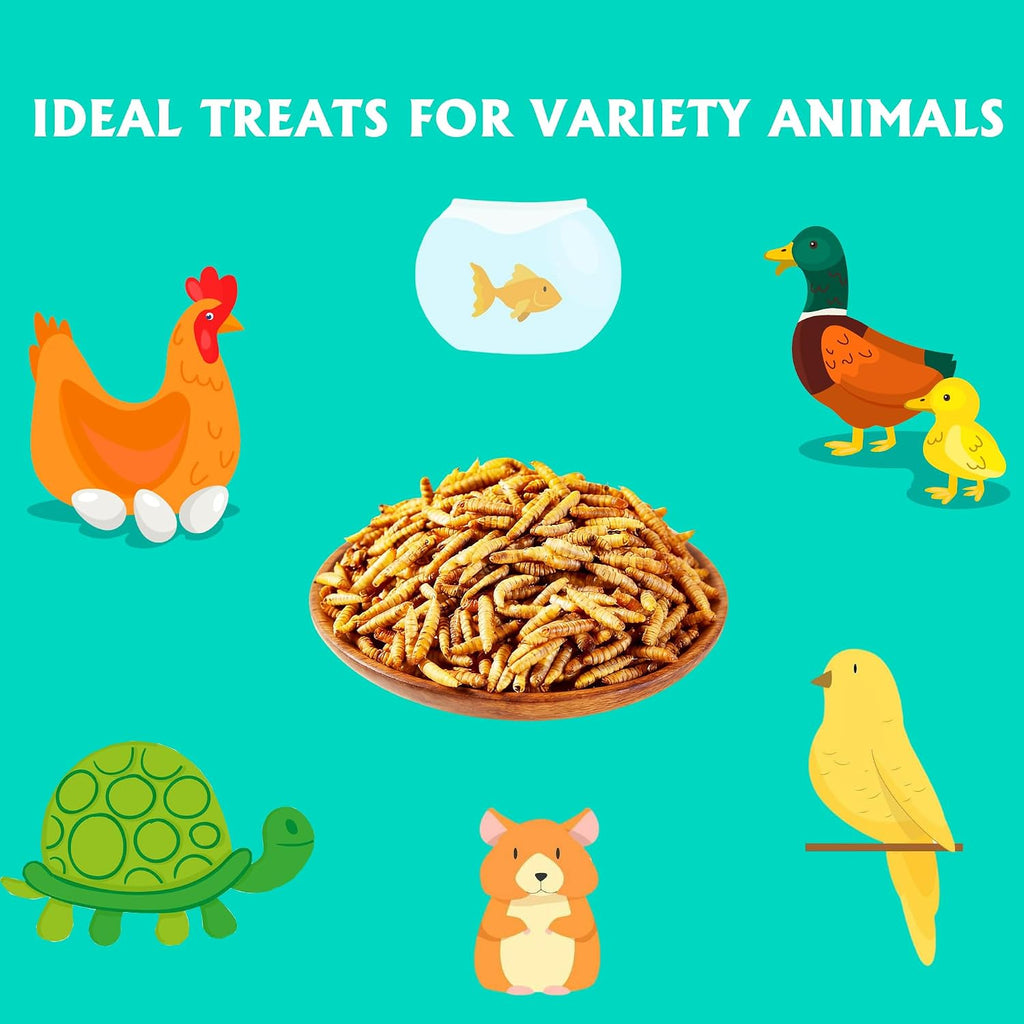 Dried Black Soldier Fly Larvae 10LB for Chicken Ducks and Wild Birds
