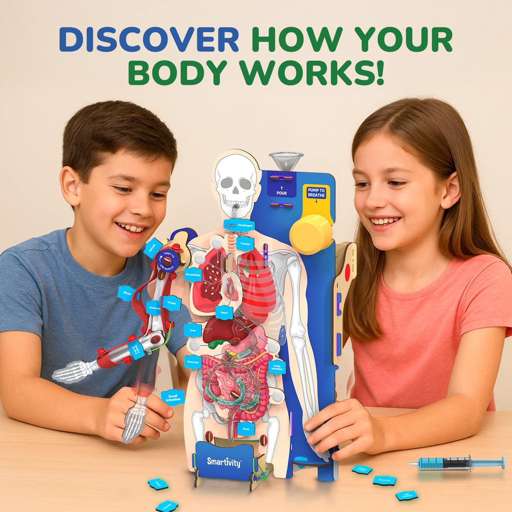 Interactive Human Body Model for Kids 8-14 Years I Dynamic Body Parts & Organs + Learning Booklet | Birthday Gift for