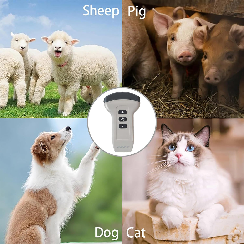 Convex Probe Veterinary Color Doppler Ultrasound Machine, Wireless Handheld Scanner for Pregnancy & Organ Exam in Dog