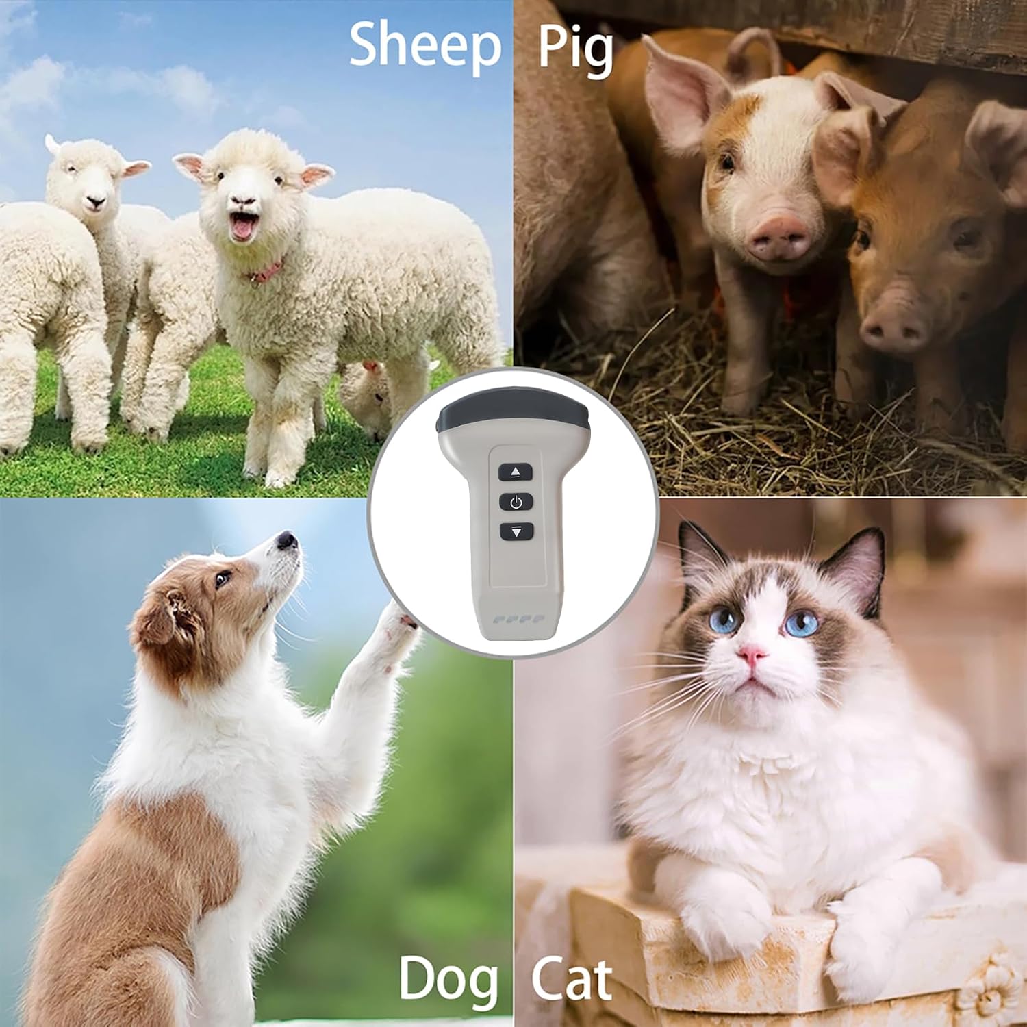 Convex Probe Veterinary Color Doppler Ultrasound Machine, Wireless Handheld Scanner for Pregnancy & Organ Exam in Dog