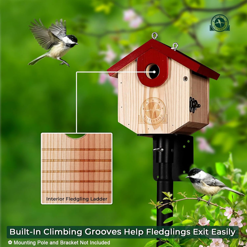 Wren Bird Houses for Outside, Bird House Warming Gifts, Red