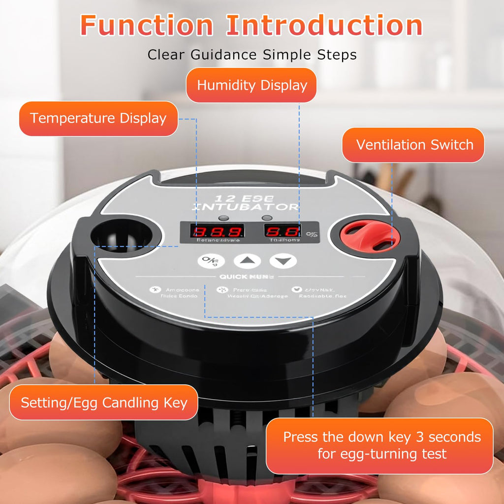12 Egg Incubators for Hatching Eggs Automatic Egg Incubator with Temperature Control Humidity Control and Display for