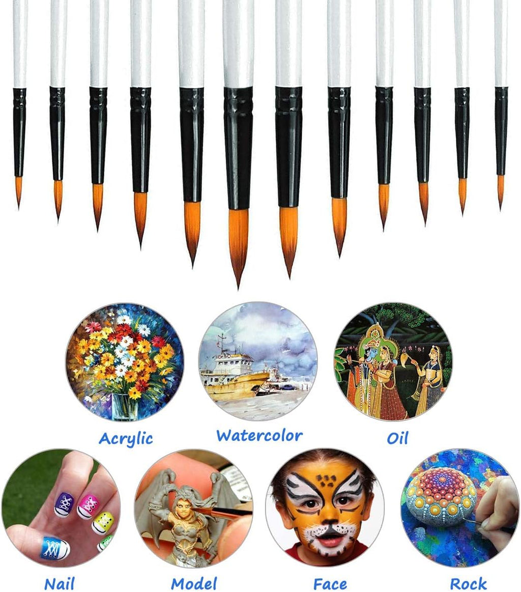 Acrylic Paint Brushes Set, 12pcs Professional Round-Pointed Tip Artist Paintbrushes for Acrylic Watercolor Oil
