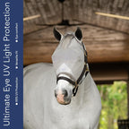 Horse Fly Mask Without Ears, Built-in Visor, Standard Medium/Large