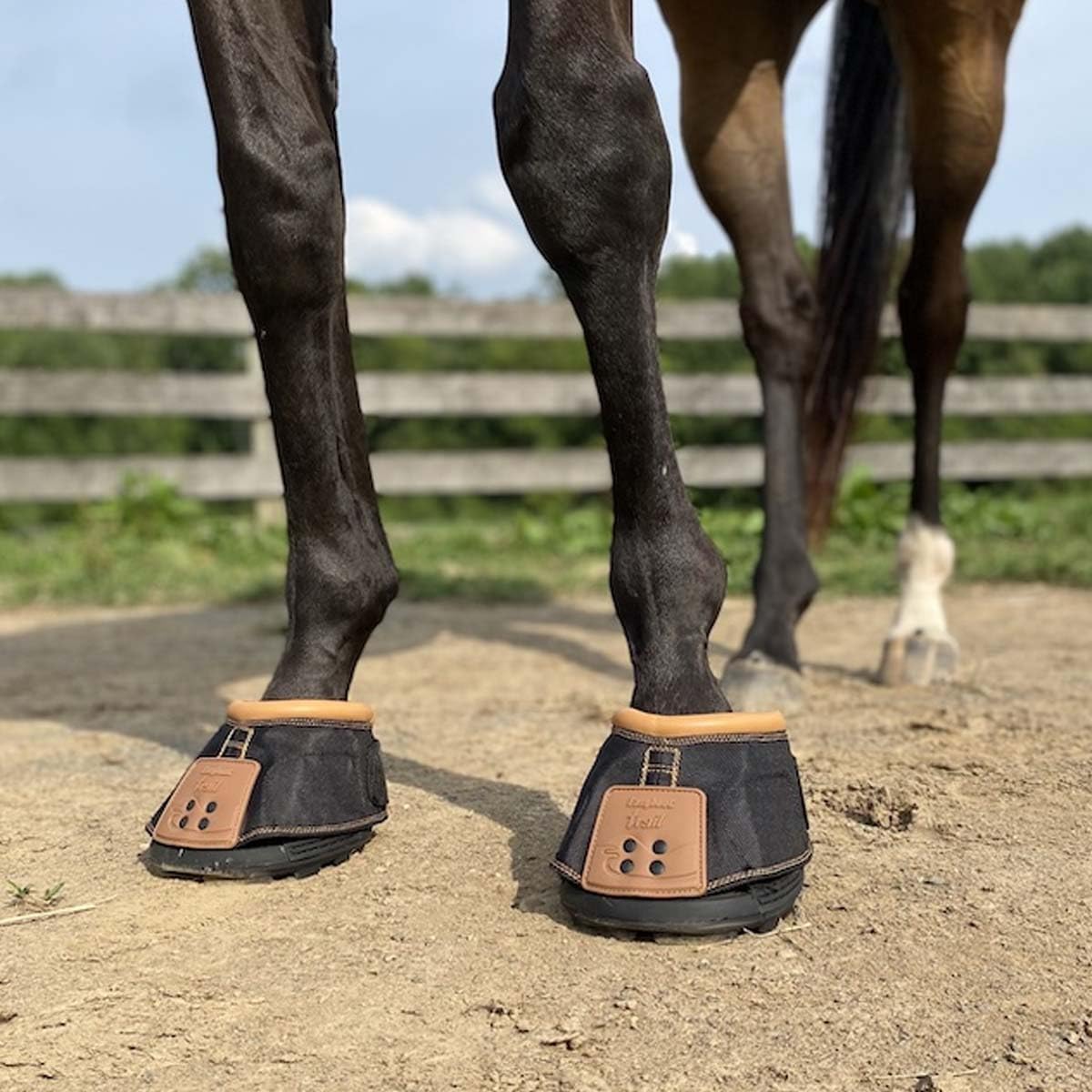 Easyboot Trail Original Hoof Boots – Easy On/Off, Durable Polyurethane Sole, Hook & Loop Closure, Hoof Protection for