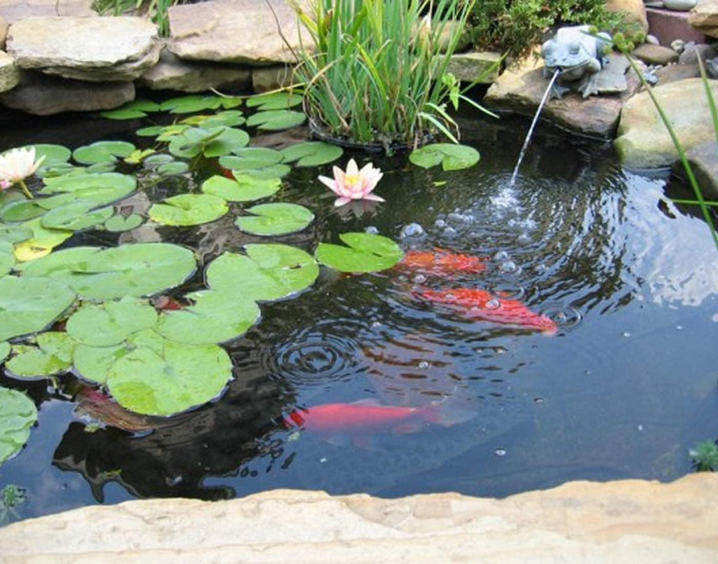 Pond Liner, 20 Mil HDPE Pond Liners for Outdoor Ponds, 10 x 13 FT
