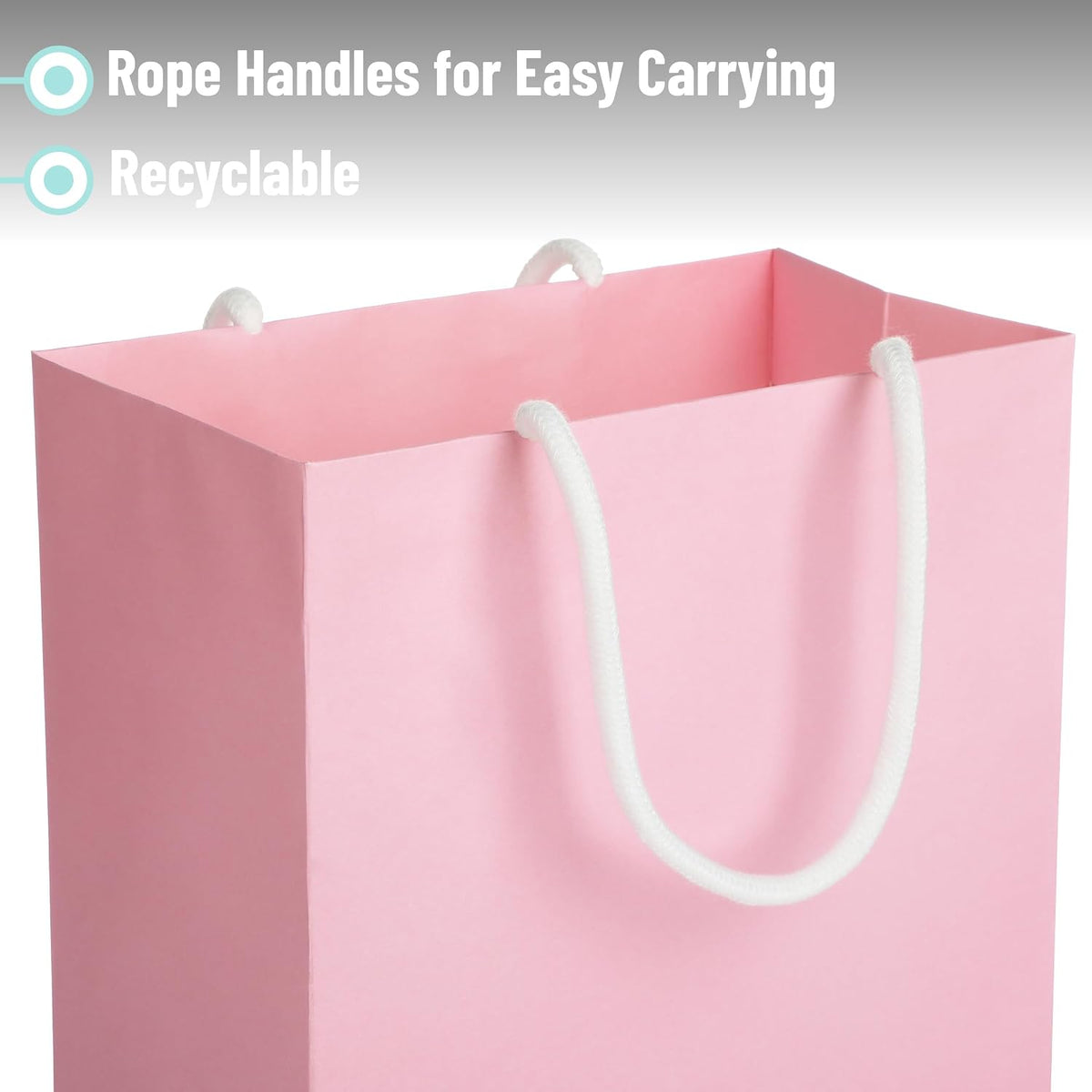 Paper Gift Bags with Handles, Assorted Sizes, 8 Pack