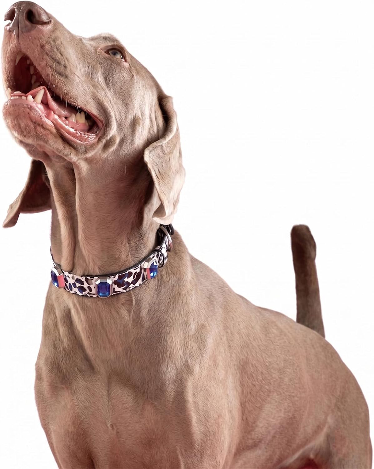Luxury Dog Collar&Necklace, Bling Rhinestone Leather Collar