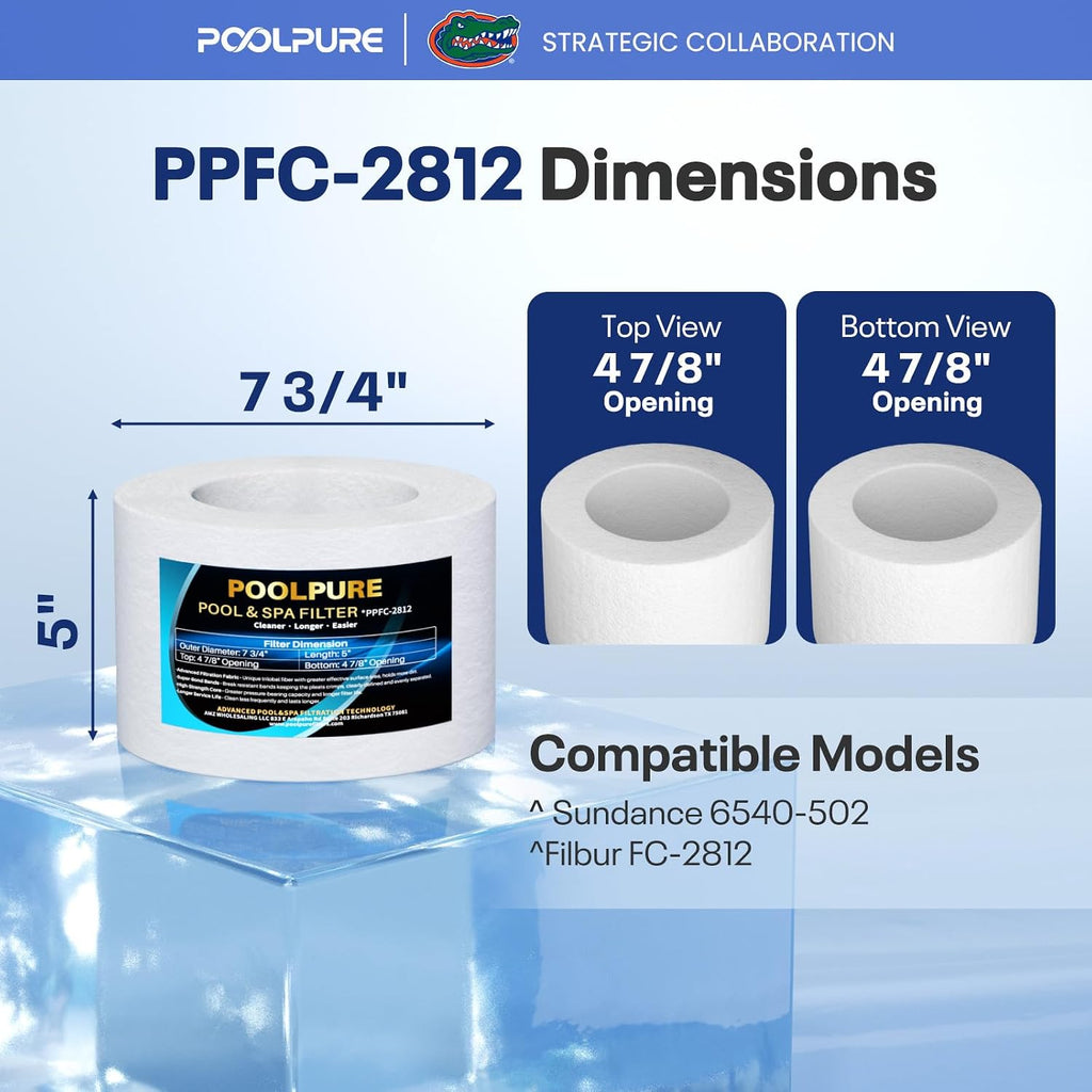 POOLPURE FC-2812 SPA Filter Replaces Sundance 6540-502 1PACK