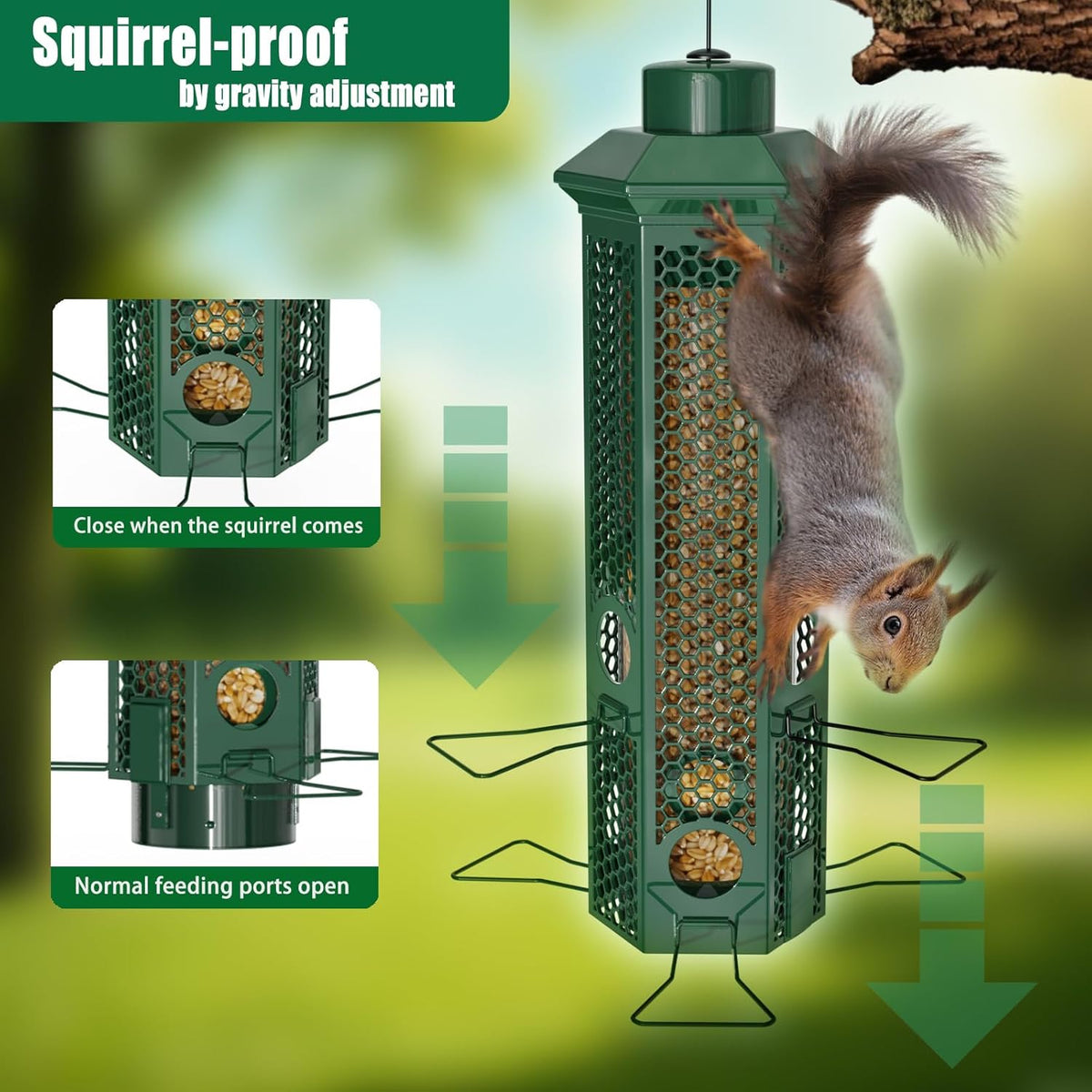 Squirrel Proof Bird Feeders, Bird Feeder for Outdoors with Removable Base, 6 Ports Perches Gravity Protection