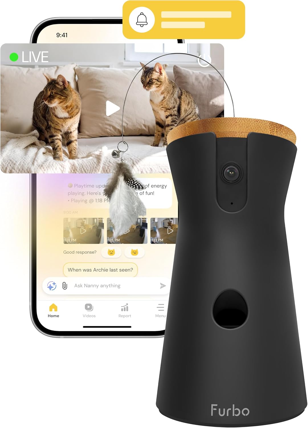 360° Cat Camera [Paid Plan Required to Activate]