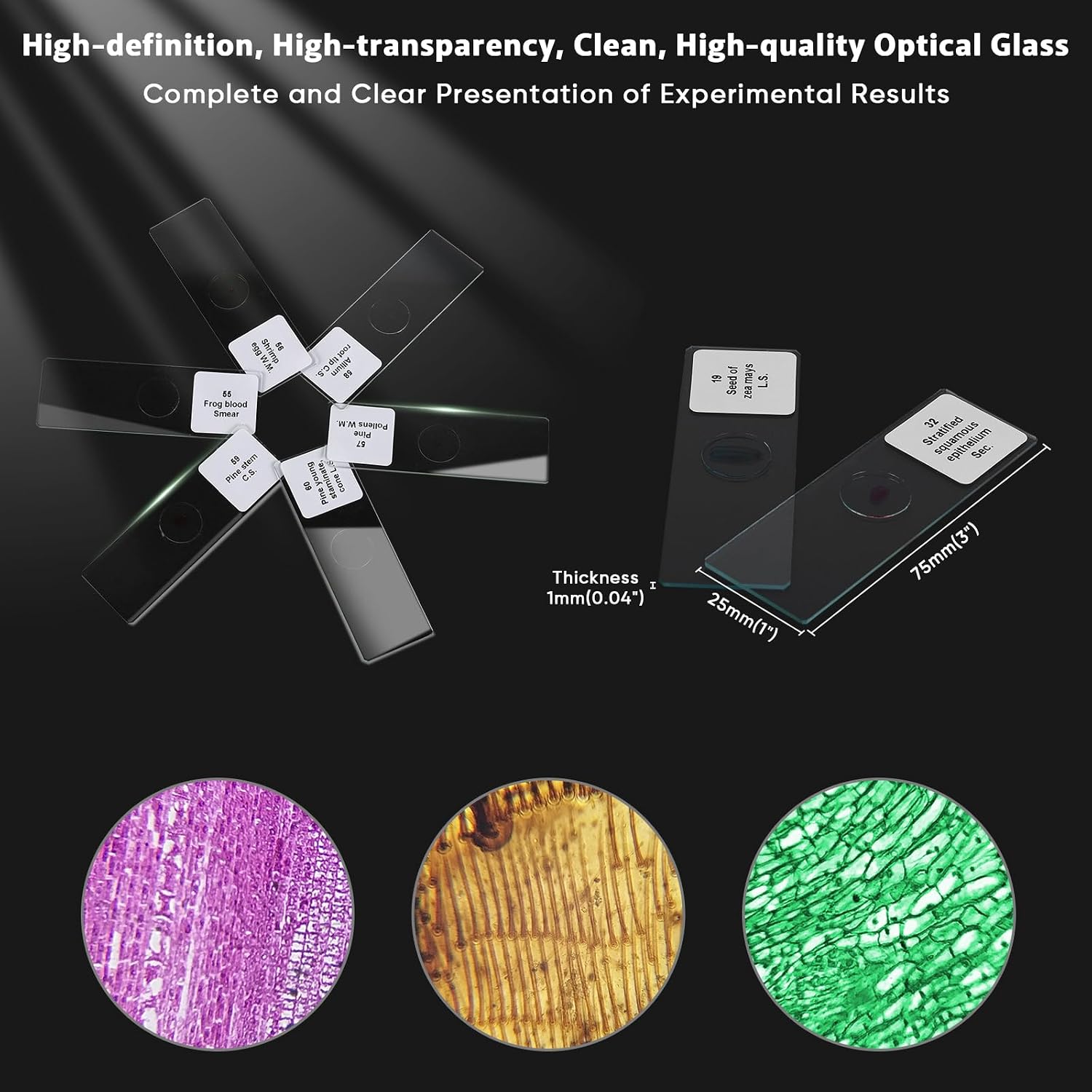 60 Microscope Slides with Specimens,Prepared Microscope Slides for Kids,Glass Slides for Microscope,Prepared Slides